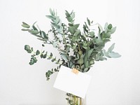 Green leafy branches in a jar with a message attached. Original public domain image from Wikimedia Commons