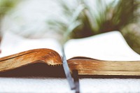 A book with a ribbon bookmark and a plant. Original public domain image from Wikimedia Commons