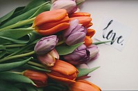Bouquet of purple and orange tulips on a table with a note reading "love" in cursive. Original public domain image from <a href="https://commons.wikimedia.org/wiki/File:Tulips_from_a_lover_(Unsplash).jpg" target="_blank" rel="noopener noreferrer nofollow">Wikimedia Commons</a>