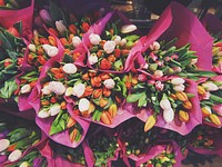 Colorful bouquets of tulips with pretty petals in flower stand in Spring, Bergen. Original public domain image from <a href="https://commons.wikimedia.org/wiki/File:Tulip_bouquets_in_pink_paper_(Unsplash).jpg" target="_blank" rel="noopener noreferrer nofollow">Wikimedia Commons</a>