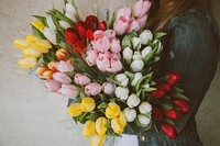 A bouquet of tulips. Original public domain image from <a href="https://commons.wikimedia.org/wiki/File:Alisa_Anton_2016-03-16_(Unsplash).jpg" target="_blank">Wikimedia Commons</a>