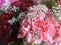 Macro of red and pink carnations in a floral bouquet with white baby's breath flowers. Original public domain image from <a href="https://commons.wikimedia.org/wiki/File:Romantic_Bouquet_(Unsplash).jpg" target="_blank" rel="noopener noreferrer nofollow">Wikimedia Commons</a>