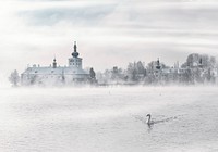 Surreal view of a swan swimming on the lake near ornate Österreich architecture. Original public domain image from Wikimedia Commons