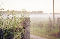 Fencepost and wildflowers at the start of a rural road. Original public domain image from Wikimedia Commons