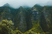 An overgrown cliff under mist. Original public domain image from Wikimedia Commons