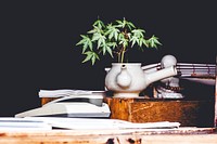 Green plant in an eerie white flowerpot next to a statue of Buddha. Original public domain image from Wikimedia Commons