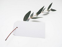 Eucalyptus with a blank tag. Original public domain image from Wikimedia Commons