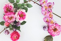 A branch of pink flowers on white background. Original public domain image from Wikimedia Commons