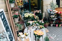 Bunches of roses and plants in pots displaying in front of a flower shop. Original public domain image from <a href="https://commons.wikimedia.org/wiki/File:Barcelona,_Spain_(Unsplash_oH66az_yug).jpg" target="_blank">Wikimedia Commons</a>