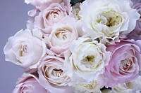 Bunch of pink and white roses.Original public domain image from <a href="https://commons.wikimedia.org/wiki/File:Anna_2016_(Unsplash).jpg" target="_blank">Wikimedia Commons</a>