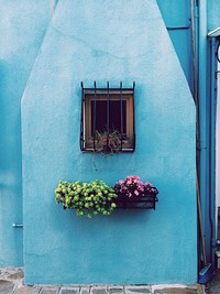 Window on a blue home with flowers. Original public domain image from <a href="https://commons.wikimedia.org/wiki/File:Paula_Borowska_2014-12-04_(Unsplash).jpg" target="_blank">Wikimedia Commons</a>