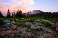 A colorful meadow in the mountains on a quiet afternoon. Original public domain image from <a href="https://commons.wikimedia.org/wiki/File:Mammoth_Lakes_meadow_(Unsplash).jpg" target="_blank" rel="noopener noreferrer nofollow">Wikimedia Commons</a>