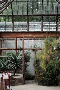 An inside look at a glass house garden in Cambridge Botanic Garden Hills Road Entrance. Original public domain image from Wikimedia Commons
