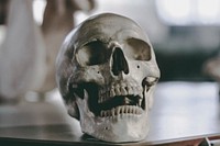 Human skull on a table. Original public domain image from Wikimedia Commons