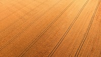 Farmland in Wortley, United Kingdom. Original public domain image from Wikimedia Commons