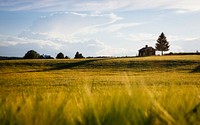 House in a green grass field. Original public domain image from Wikimedia Commons