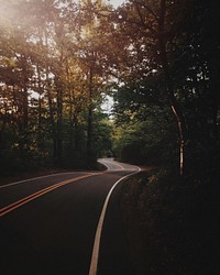 Asphalt road alongside with trees, Greenville, United States. Original public domain image from Wikimedia Commons