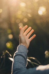 Hand reaching out for the sun ray. Original public domain image from Wikimedia Commons