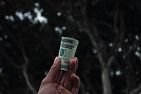 Hand holding US dollar with tree background. Original public domain image from <a href="https://commons.wikimedia.org/wiki/File:Sand_City,_United_States_(Unsplash).jpg" target="_blank">Wikimedia Commons</a>