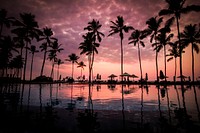 Tropical resort swimming pool with palm trees after sunset at Negombo Beach. Original public domain image from Wikimedia Commons