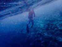 A diver underwater in the deep blue ocean.. Original public domain image from <a href="https://commons.wikimedia.org/wiki/File:Aqua_(Unsplash).jpg" target="_blank" rel="noopener noreferrer nofollow">Wikimedia Commons</a>