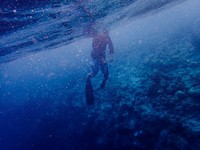 A diver underwater in the deep blue ocean.. Original public domain image from Wikimedia Commons