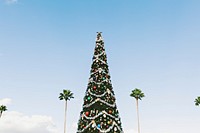 Christmas with holiday decorations looks festive among palm trees and a blue sky. Original public domain image from Wikimedia Commons