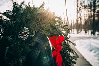 Christmas wreath. Original public domain image from Wikimedia Commons