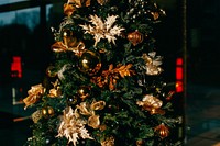 Christmas tree. Original public domain image from Wikimedia Commons