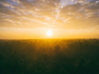 Sunrise with an orange sky behind a forest and clouds. Original public domain image from Wikimedia Commons