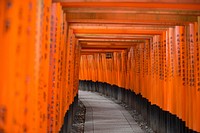 Torii gate, Japan. Original public domain image from <a href="https://commons.wikimedia.org/wiki/File:Kazuend_2016-06-23_(Unsplash).jpg" target="_blank">Wikimedia Commons</a>