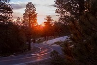 A two-lane road curves around the forest scenery at Bryce Canyon with a red sunrise-or-sunset breaking through the pine trees. Original public domain image from Wikimedia Commons
