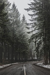 A desaturated shot of a curve in an asphalt road lined with coniferous trees in Goč. Original public domain image from Wikimedia Commons
