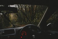 A trail through an autumn forest in Abercych seen from the driver's seat. Original public domain image from <a href="https://commons.wikimedia.org/wiki/File:Grey_Days_(Unsplash).jpg" target="_blank" rel="noopener noreferrer nofollow">Wikimedia Commons</a>