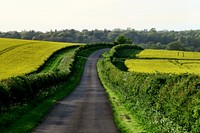 Countryside road. Original public domain image from Wikimedia Commons