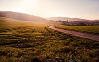 A winding road cutting through a meadow. Original public domain image from Wikimedia Commons