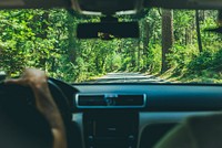 Driving into the woods. Original public domain image from <a href="https://commons.wikimedia.org/wiki/File:Yosemite_National_Park_Road,_Yosemite_Valley,_United_States_(Unsplash_2C80kNmfIzs).jpg" target="_blank">Wikimedia Commons</a>
