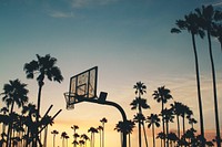 A yellow and blue sunset in Venice, Los Angeles forming silhouettes of a basketball court and numerous palm trees. Original public domain image from <a href="https://commons.wikimedia.org/wiki/File:Outdoor_basketball_in_Venice_(Unsplash).jpg" target="_blank" rel="noopener noreferrer nofollow">Wikimedia Commons</a>