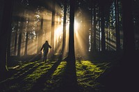 Walking into the forest with sunlight shining through. Original public domain image from <a href="https://commons.wikimedia.org/wiki/File:Kiwihug_2017-05-24_(Unsplash).jpg" target="_blank">Wikimedia Commons</a>