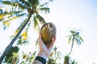 Coconut. Original public domain image from Wikimedia Commons