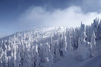 A drone view of a hilled forest covered in snow under a cloudy sky. Original public domain image from Wikimedia Commons