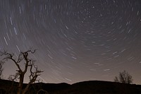 A long exposure shot of a star-filled night sky, featuring silhouette trees and hills. Original public domain image from Wikimedia Commons