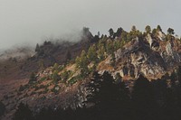 Trees covered craggy mountain cliffs on a misty morning in Dharapani. Original public domain image from Wikimedia Commons