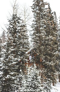 Cabin in the Woods. Original public domain image from <a href="https://commons.wikimedia.org/wiki/File:Cabin_in_the_Woods_(Unsplash).jpg" target="_blank" rel="noopener noreferrer nofollow">Wikimedia Commons</a>