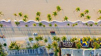 Palm tree-lined road. Original public domain image from Wikimedia Commons