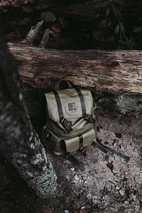 Grey backpack leaning on brown tree trunks. Original public domain image from <a href="https://commons.wikimedia.org/wiki/File:Andrew_Neel_2016-09-20_(Unsplash).jpg" target="_blank">Wikimedia Commons</a>