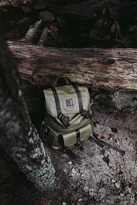 Grey backpack leaning on brown tree trunks. Original public domain image from Wikimedia Commons