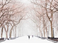 A snowing winter day at Central Park. Original public domain image from <a href="https://commons.wikimedia.org/wiki/File:Central_Park_Mall_during_Stella_Snowstorm_(Unsplash).jpg" target="_blank" rel="noopener noreferrer nofollow">Wikimedia Commons</a>
