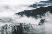 Thick mist shrouding wooded landscape. Original public domain image from <a href="https://commons.wikimedia.org/wiki/File:Sea_of_Fog_(Unsplash).jpg" target="_blank">Wikimedia Commons</a>