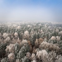 A drone shot of a wintry forest in Poland. Original public domain image from <a href="https://commons.wikimedia.org/wiki/File:Snow_covered_forest_in_Poland._(Unsplash).jpg" target="_blank" rel="noopener noreferrer nofollow">Wikimedia Commons</a>